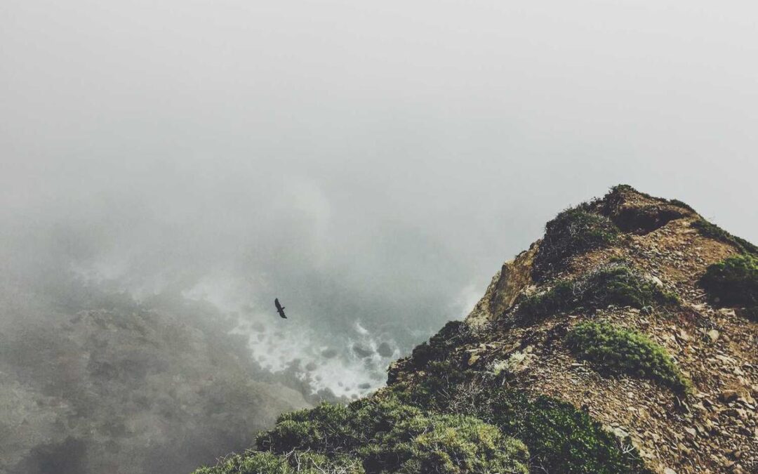 Iure quod quia deserunt vitae